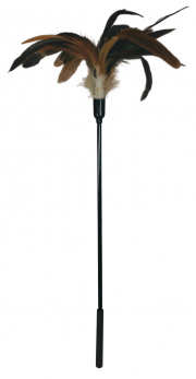 Бдсм и фетиш, перья