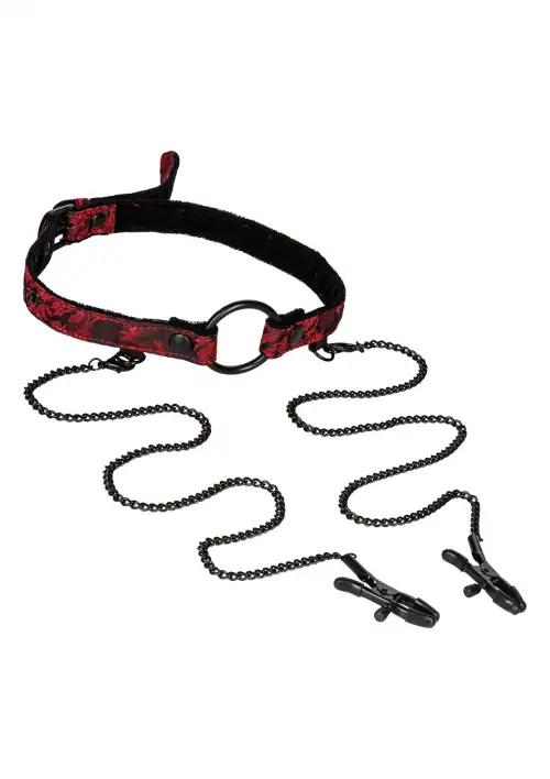 Расширитель для рта с зажимами для сосков, Scandal photo 1