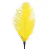 Щекоталка со страусиным пером Art of Sex - Feather Tickler, цвет Желтый photo 3