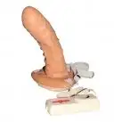 Страпон STRAP-ON HOLLOW EXTENDER WITH VIBRATION photo 1