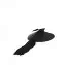 Пэстис Bijoux Indiscrets Burlesque pasties ORIGINAL BLACK photo 2